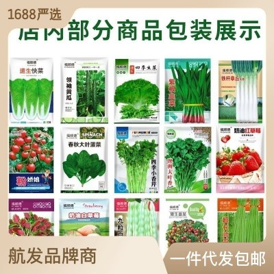 蔬菜种子批发辣椒种子茄子西红柿青菜四季阳台盆栽春季蔬菜种籽