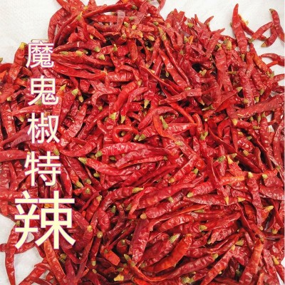 印度椒 特辣干辣椒 印度魔鬼椒涮涮辣 火锅调味品 500g现货批发