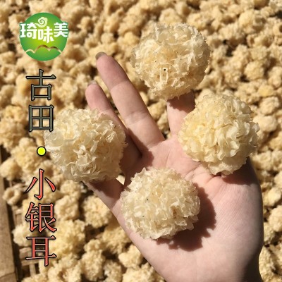 古田小银耳 白木耳 非椴木 银耳 特产干货 桃胶雪燕雪耳 糯耳