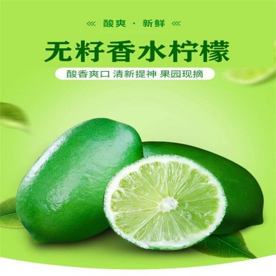 广东香水柠檬无籽热带当季新鲜水果批发奶茶店海南青柠檬整箱包邮