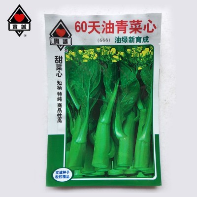 实诚60天圆叶油青甜菜心种子新育成矮脚菜场大田用种蔬菜籽批发