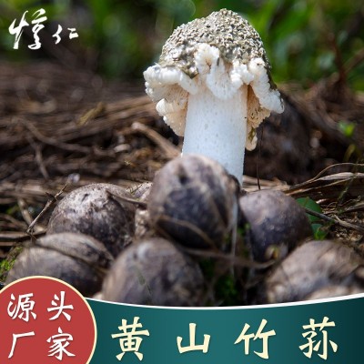 【竹荪】炖汤佳品 当季采摘 雪裙仙子鲜香干竹荪500g批发基地直发