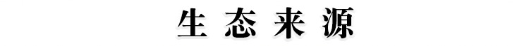 三线腊肉川民爱A_28.jpg