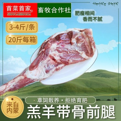 首菜首家 内蒙古羔羊前腿材1斤/件鲜羊肉烧烤食材羊腿工厂直供