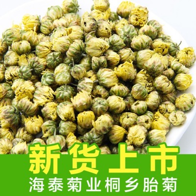 海泰新货桐乡胎菊批发 胎菊王散装杭白菊 菊花茶批发胎米产地直发