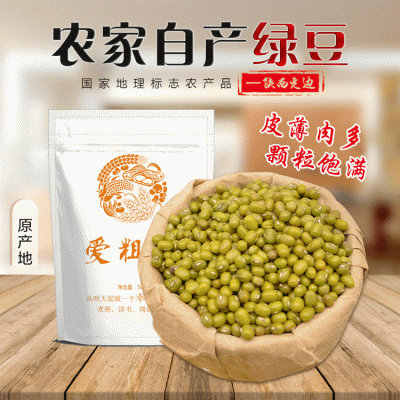 绿豆陕北明绿豆 农家特产绿豆明绿豆 五谷杂粮绿豆真空包装490g