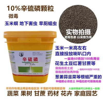 剑九黄10%辛硫磷羊肚菌小麦蔬菜地下害虫甘蔗药材玉米螟杀虫剂