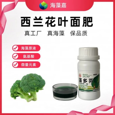 洁晶藻多芬海藻叶面肥 250ml瓶装 西兰花专用提质增产 氨基酸水溶肥