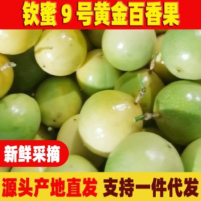 钦蜜9号百香果黄金蜜百香果1/2/3/5/9斤装水果广西源产地极速发货