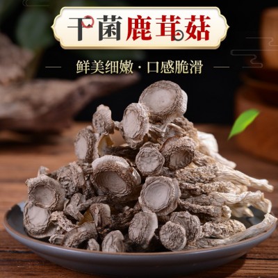 产地直销3A级干鹿茸菇500克云南特产食用菌不开伞鹿新鲜蘑菇批发