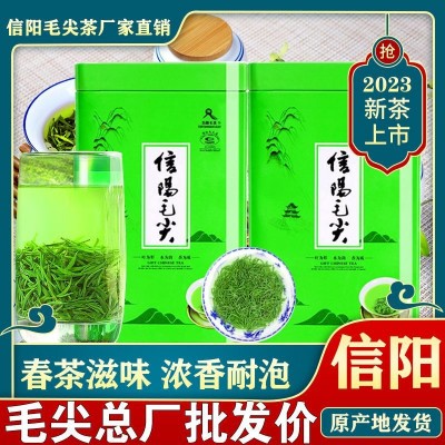 批发茶叶信阳毛尖新茶雨前春茶浓香耐泡高山绿茶手工春 茶500g