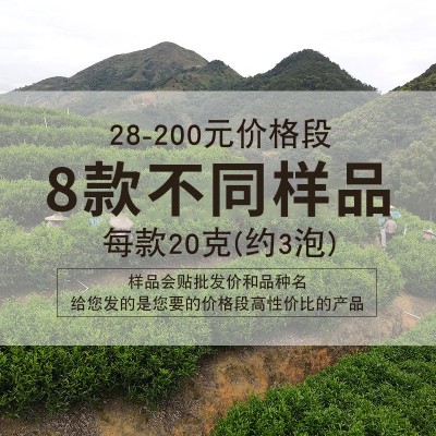 凤凰单丛茶样品茶叶批发 乌龙茶单枞茶厂家凤凰单枞茶商用供应