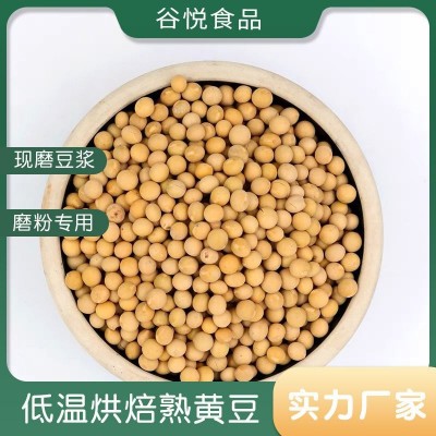 低温烘焙熟黄豆 五谷杂粮黄大豆 现磨磨粉打豆浆专用黄豆原料批发