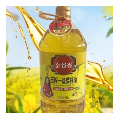 食用一 级菜籽油金谷香5L桶装压榨菜籽油供应学校食堂厂家批发