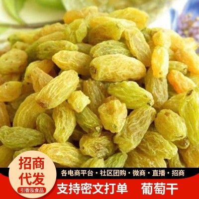 批发代发新疆特产葡萄干500g 散装 休闲食品树上黄大颗粒葡萄干