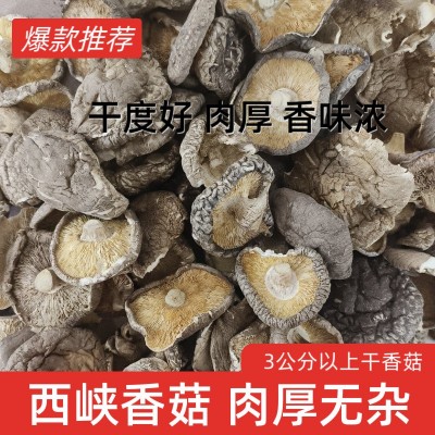 河南西峡特产精品干香菇大厚菇 肉厚 无根人工手选工厂直发