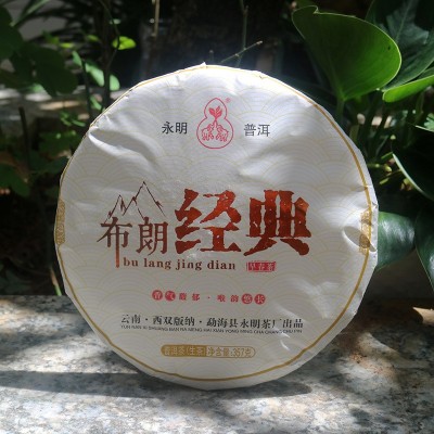 永明茶厂传承系列布朗经典普洱茶生茶云南古树2021春茶七子饼茶叶