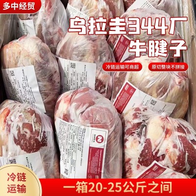 乌拉圭344厂牛腱子 新鲜冷冻原切牛腱子餐饮商用独立小包装腱子肉